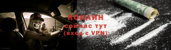 сатива Ростов