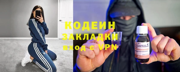 сатива Ростов