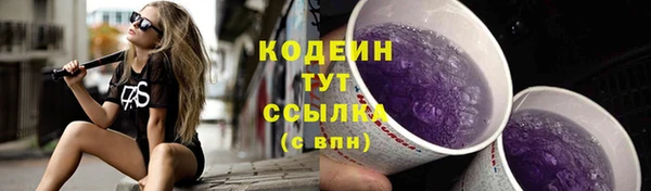 сатива Ростов
