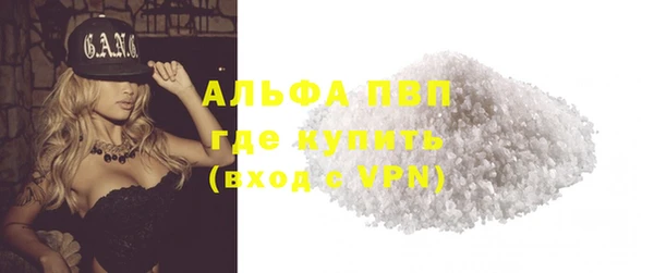 сатива Ростов