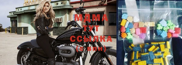 сатива Ростов
