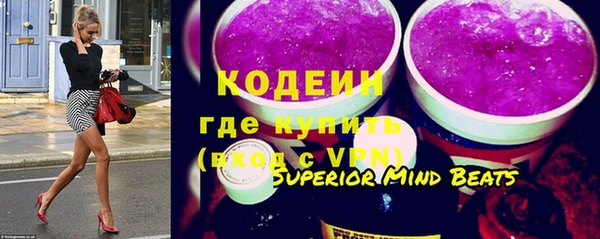 сатива Ростов